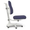 Kids Rooms Little Dreamers | Lifetime Ergo Desk Chair - Blue