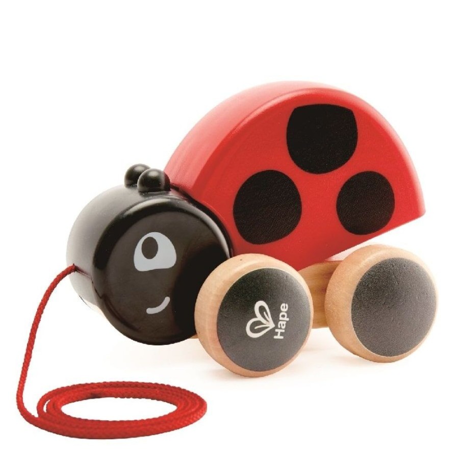 Wooden Toys Little Dreamers | Hape Pull Along Ladybug