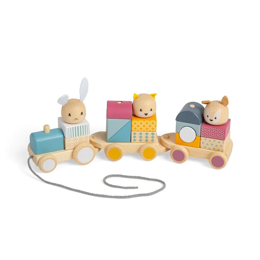 Wooden Toys Little Dreamers | Bigjigs Activity Pull Along Train - 100% Fsc