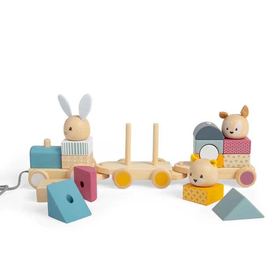 Wooden Toys Little Dreamers | Bigjigs Activity Pull Along Train - 100% Fsc